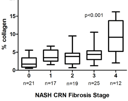 NASH Cirrhosis Space Poised to Heat Up