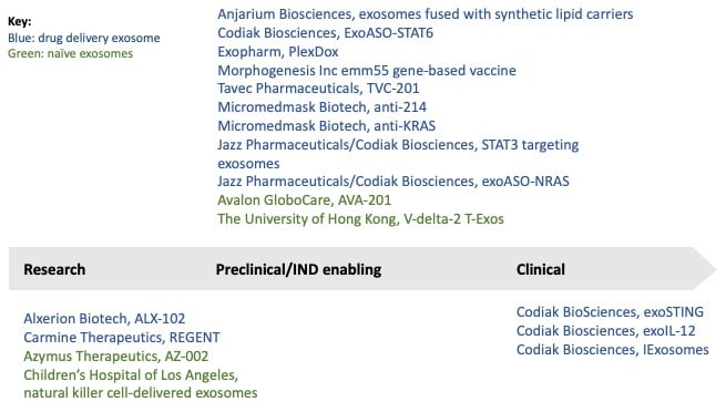 exosome-key-players