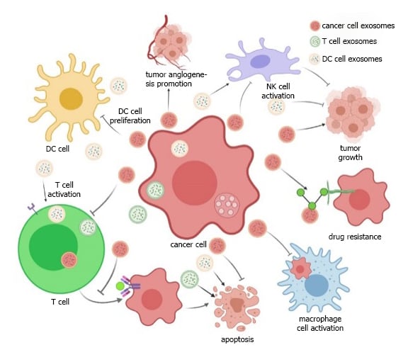 exosomes-graphic-1