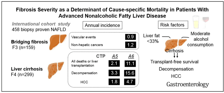 NASH Surprises and Interpretation of Clinical Trials